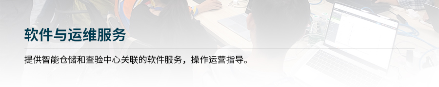 软件运维服务