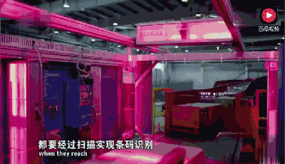 微信图片_20190112081818.gif
