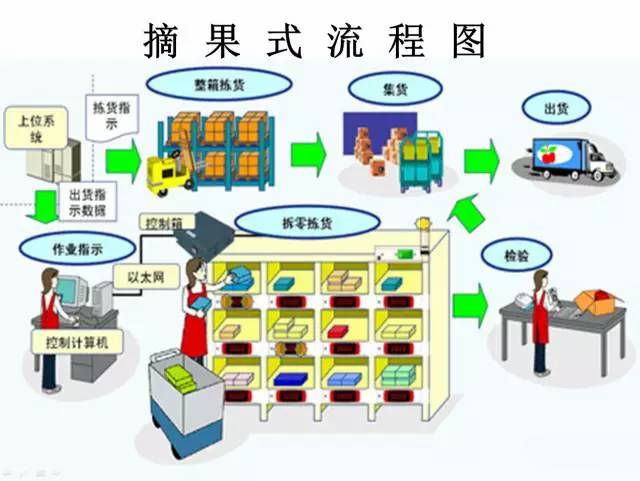 摘果拣选.jpg