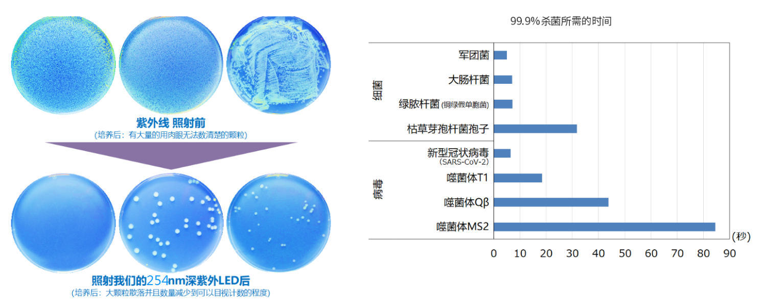 杀菌过程png