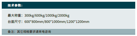 托盘称重滚筒输送机.png